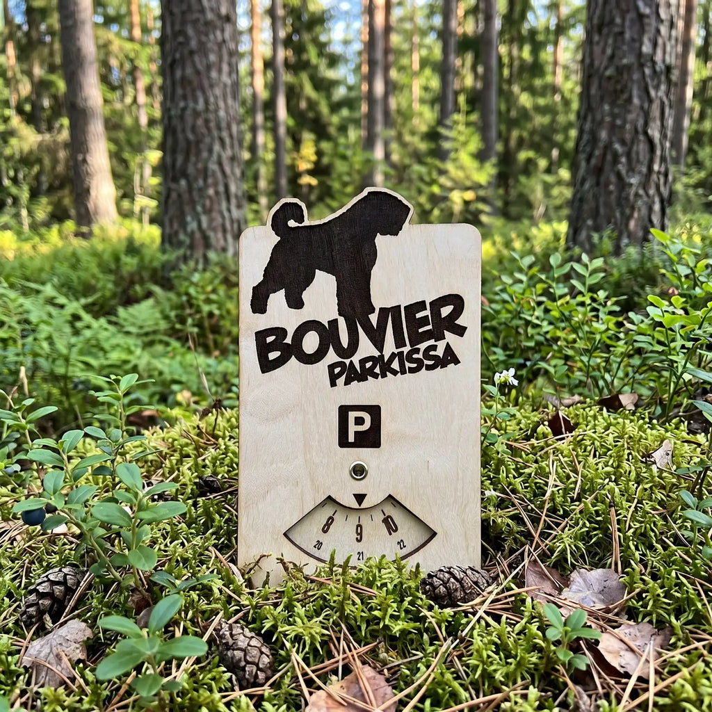 Bouvier parkkikiekko