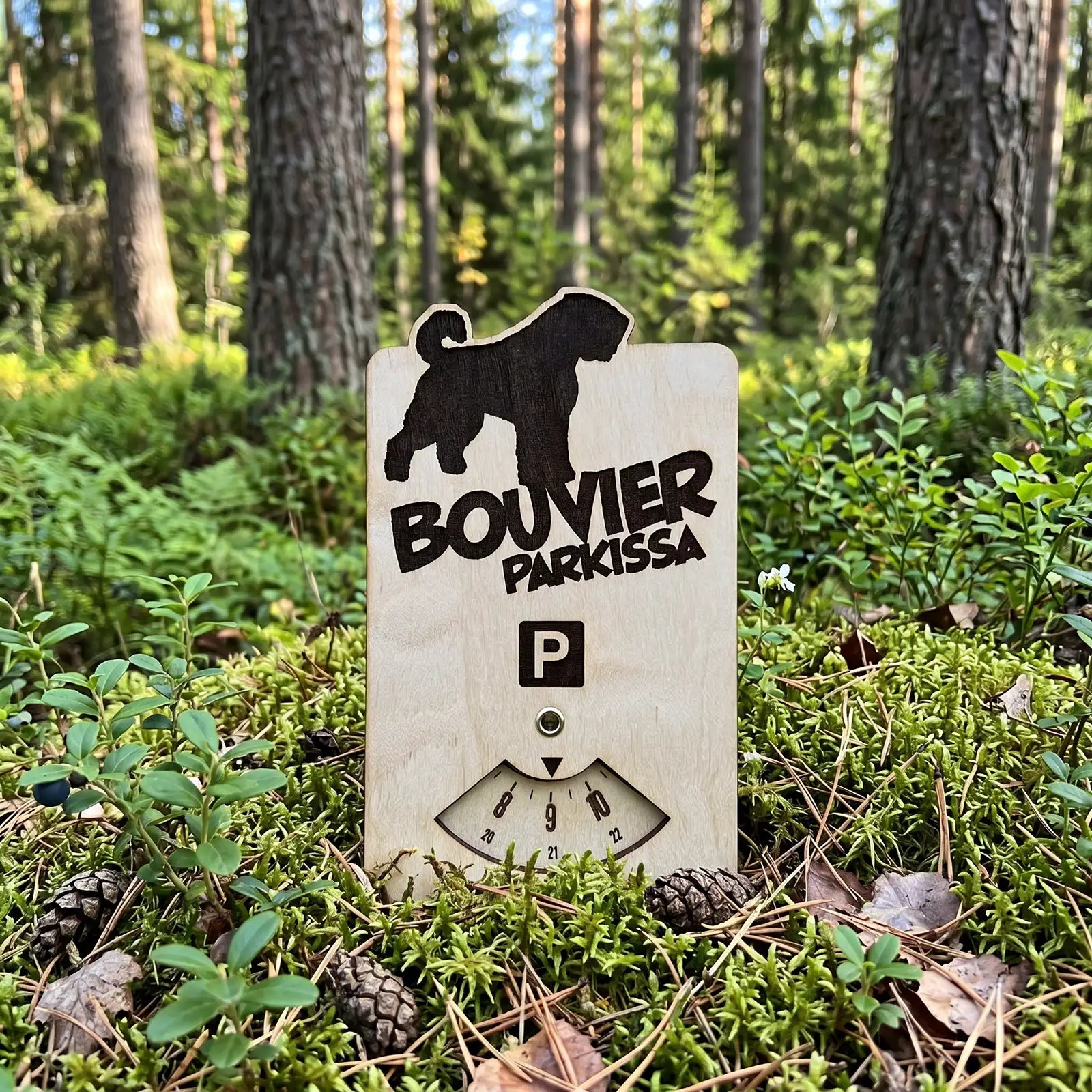 Bouvier parkkikiekko