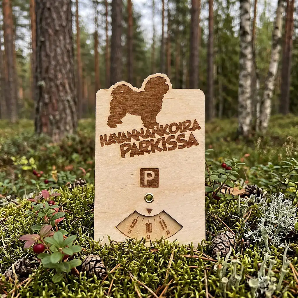 Havannankoira parkkikiekko