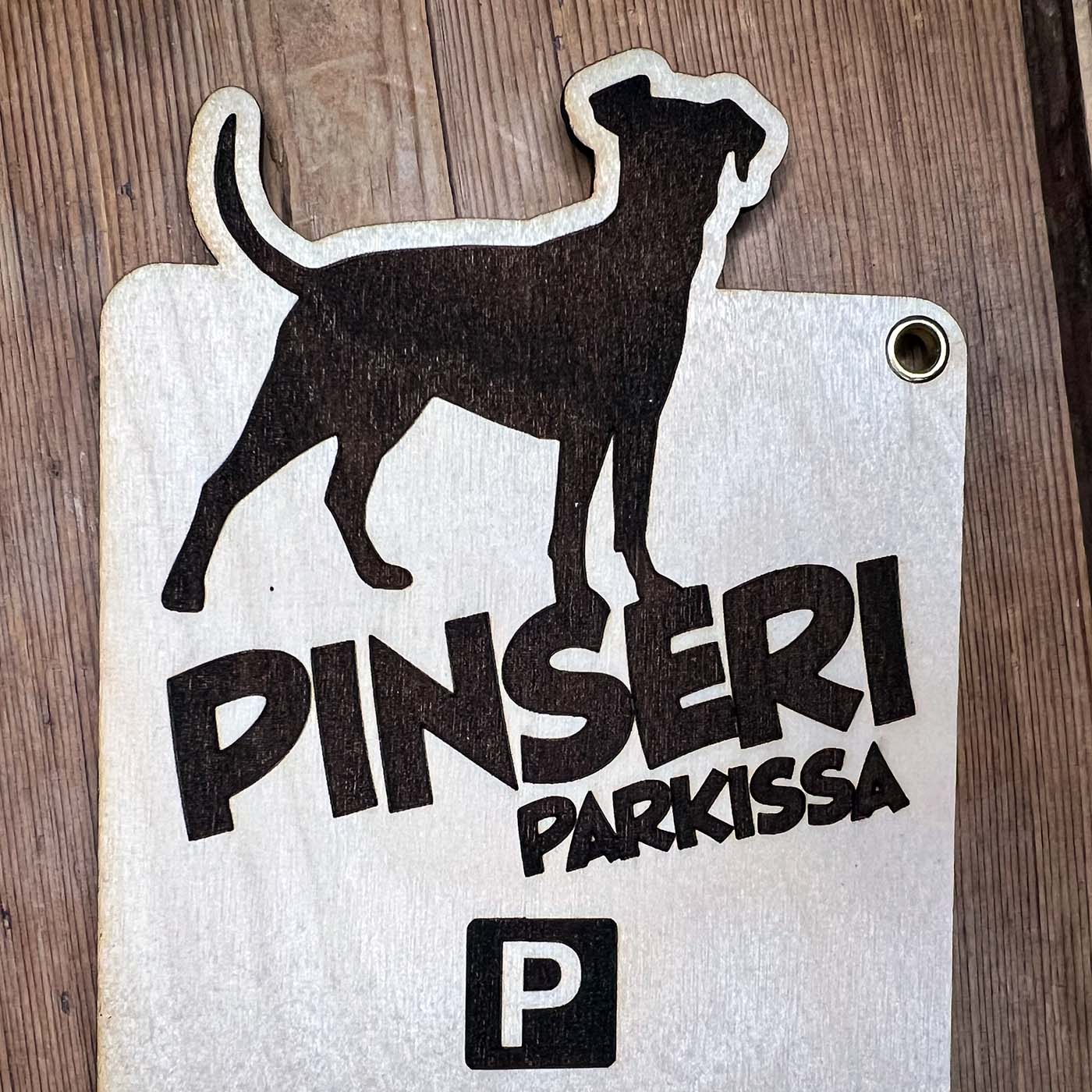 Parkkikiekko koirarodulla