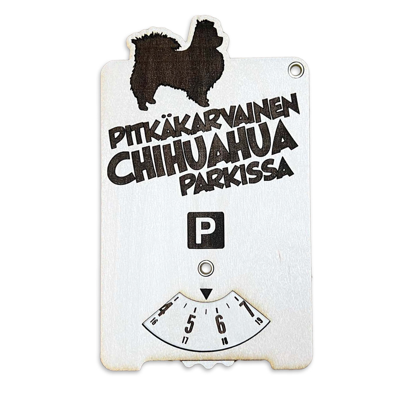 Pitkäkarvainenchihuahua