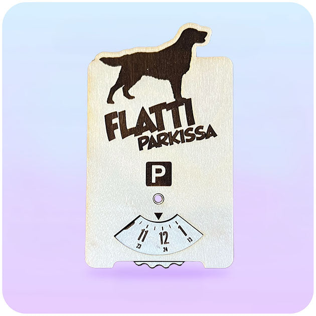 Flatti parkkikiekko
