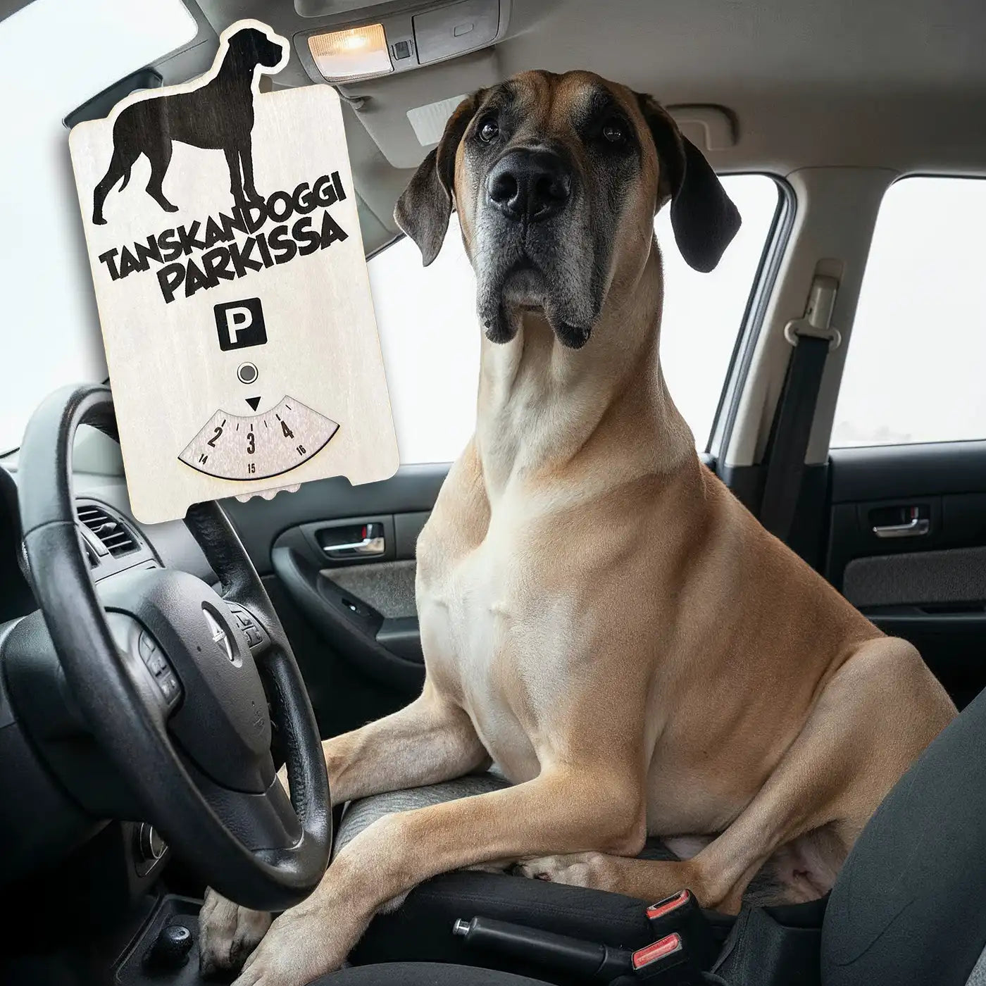 Tanskandoggi parkkikiekko